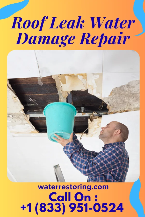 Roof Leak Water Damage Repair in Kennesaw State University, GA